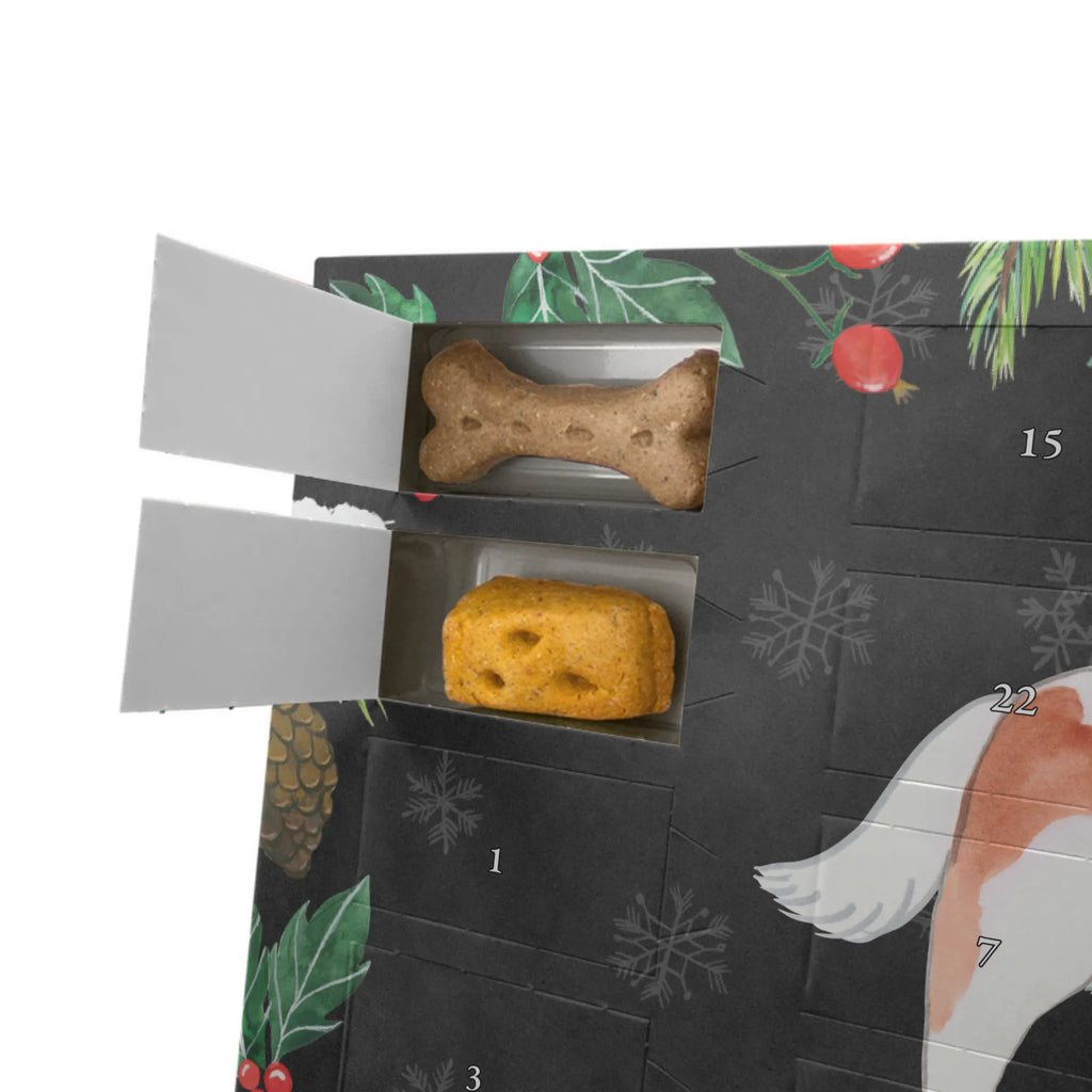 Hunde Adventskalender Cavalier King Charles Spaniel Moment Adventskalender für Hunde, Kalender, Weihnachtskalender, Hunde Adventskalender, Geschenk, Schenken, Hund, Hunderasse, Rassehund, Hundebesitzer, Tierfreund, Welpe, Cavalier King Charles Spaniel