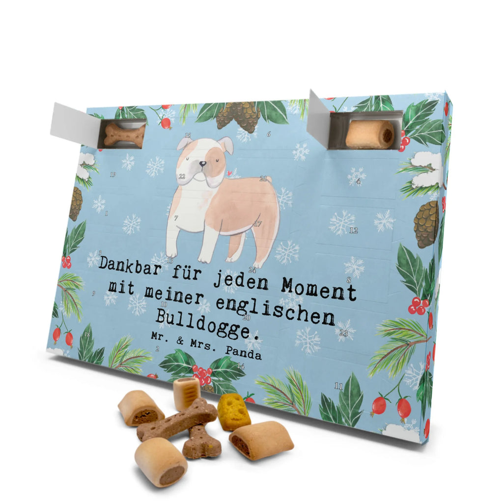 Hunde Adventskalender Englische Bulldogge Moment Weihnachtskalender, Hunde Adventskalender, Adventskalender für Hunde, Kalender, Geschenk, Schenken, Hund, Hunderasse, Rassehund, Hundebesitzer, Tierfreund, Welpe, Englische Bulldogge