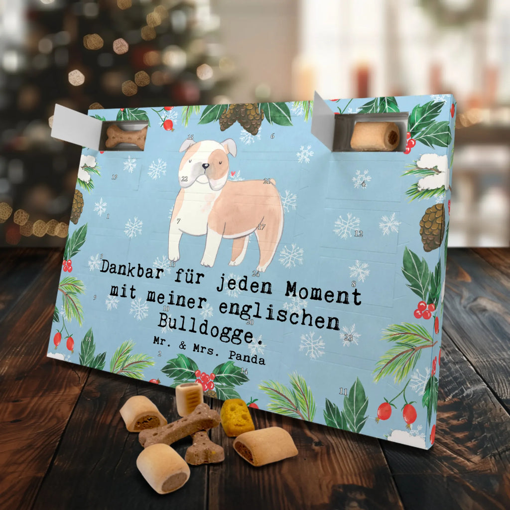 Hunde Adventskalender Englische Bulldogge Moment Adventskalender für Hunde, Hunde Adventskalender, Weihnachtskalender, Kalender, Geschenk, Schenken, Hund, Hunderasse, Rassehund, Hundebesitzer, Tierfreund, Welpe, English Bulldog, Englische Bulldogge