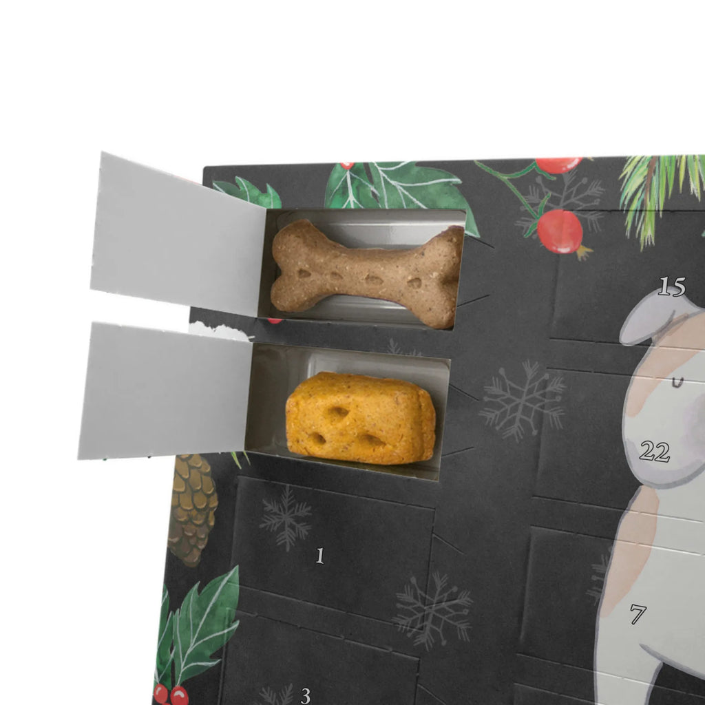Hunde Adventskalender Englische Bulldogge Moment Adventskalender für Hunde, Hunde Adventskalender, Weihnachtskalender, Kalender, Geschenk, Schenken, Hund, Hunderasse, Rassehund, Hundebesitzer, Tierfreund, Welpe, English Bulldog, Englische Bulldogge