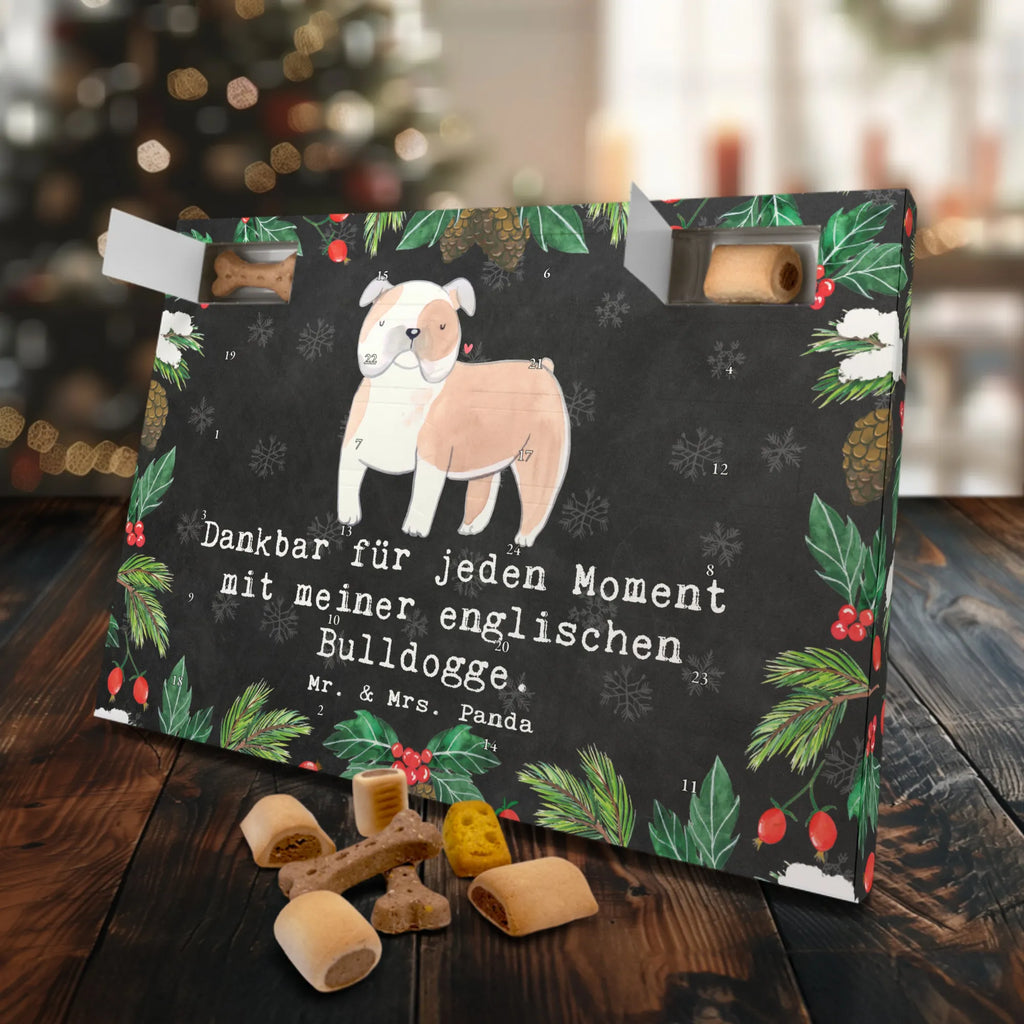 Hunde Adventskalender Englische Bulldogge Moment Adventskalender für Hunde, Hunde Adventskalender, Weihnachtskalender, Kalender, Geschenk, Schenken, Hund, Hunderasse, Rassehund, Hundebesitzer, Tierfreund, Welpe, English Bulldog, Englische Bulldogge