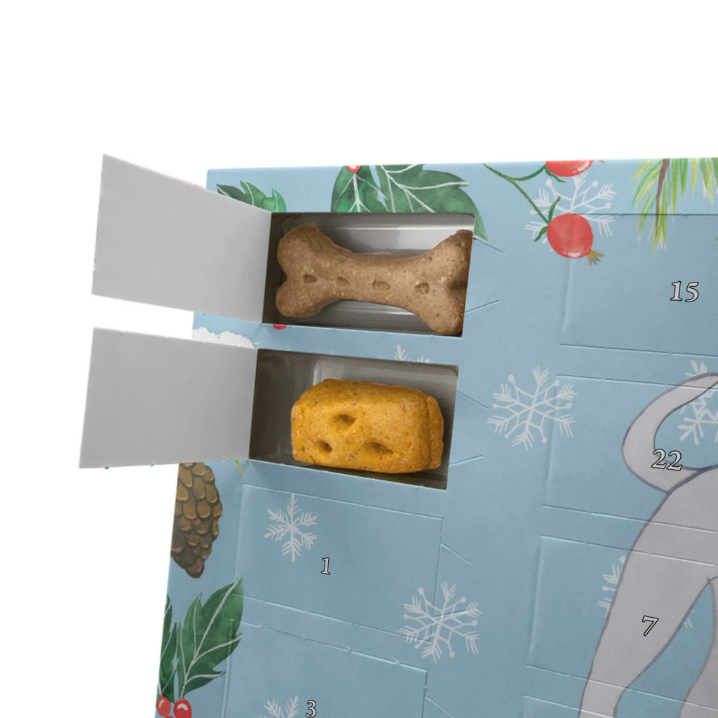 Hunde Adventskalender Italienisches Windspiel Moment Adventskalender für Hunde, Hunde Adventskalender, Weihnachtskalender, Kalender, Geschenk, Schenken, Hund, Hunderasse, Rassehund, Hundebesitzer, Tierfreund, Welpe, Windhund, Italian Greyhound, Italienisches Windspiel