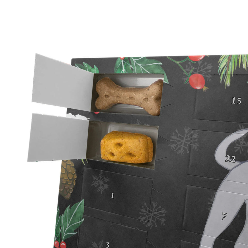 Hunde Adventskalender Italienisches Windspiel Moment Adventskalender für Hunde, Hunde Adventskalender, Weihnachtskalender, Kalender, Geschenk, Schenken, Hund, Hunderasse, Rassehund, Hundebesitzer, Tierfreund, Welpe, Windhund, Italian Greyhound, Italienisches Windspiel