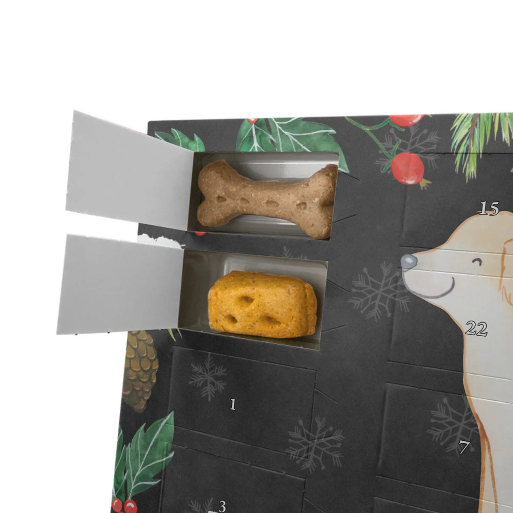 Dog advent calendar Golden Retriever moment Dogs Advent Calendar, Calendar, Christmas, Pets, 2019, Christmas Calendar, Dog, dog breed, purebred dog, dog owner, gift, animal lover, giving, puppy