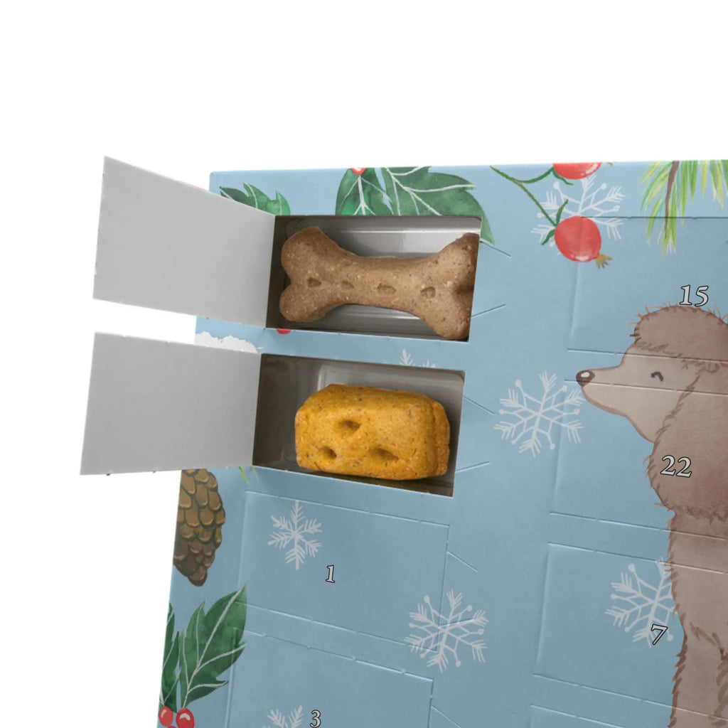 Dog advent calendar Irish Water Spaniel moment Weihnachtskalender, Adventskalender für Hunde, Hunde Adventskalender, Kalender, Geschenk, Schenken, Hund, Hunderasse, Rassehund, Hundebesitzer, Tierfreund, Welpe, Irish Water Spaniel, Jagdhund