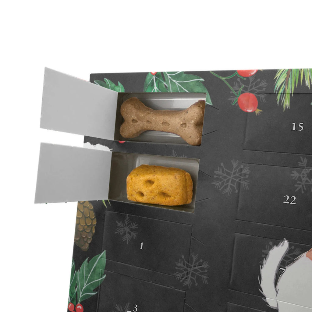 Hunde Adventskalender Jack Russell Terrier Moment Hunde Adventskalender, Adventskalender für Hunde, Weihnachtskalender, Kalender, Geschenk, Schenken, Hund, Hunderasse, Rassehund, Hundebesitzer, Tierfreund, Welpe, Jack Russell Terrier