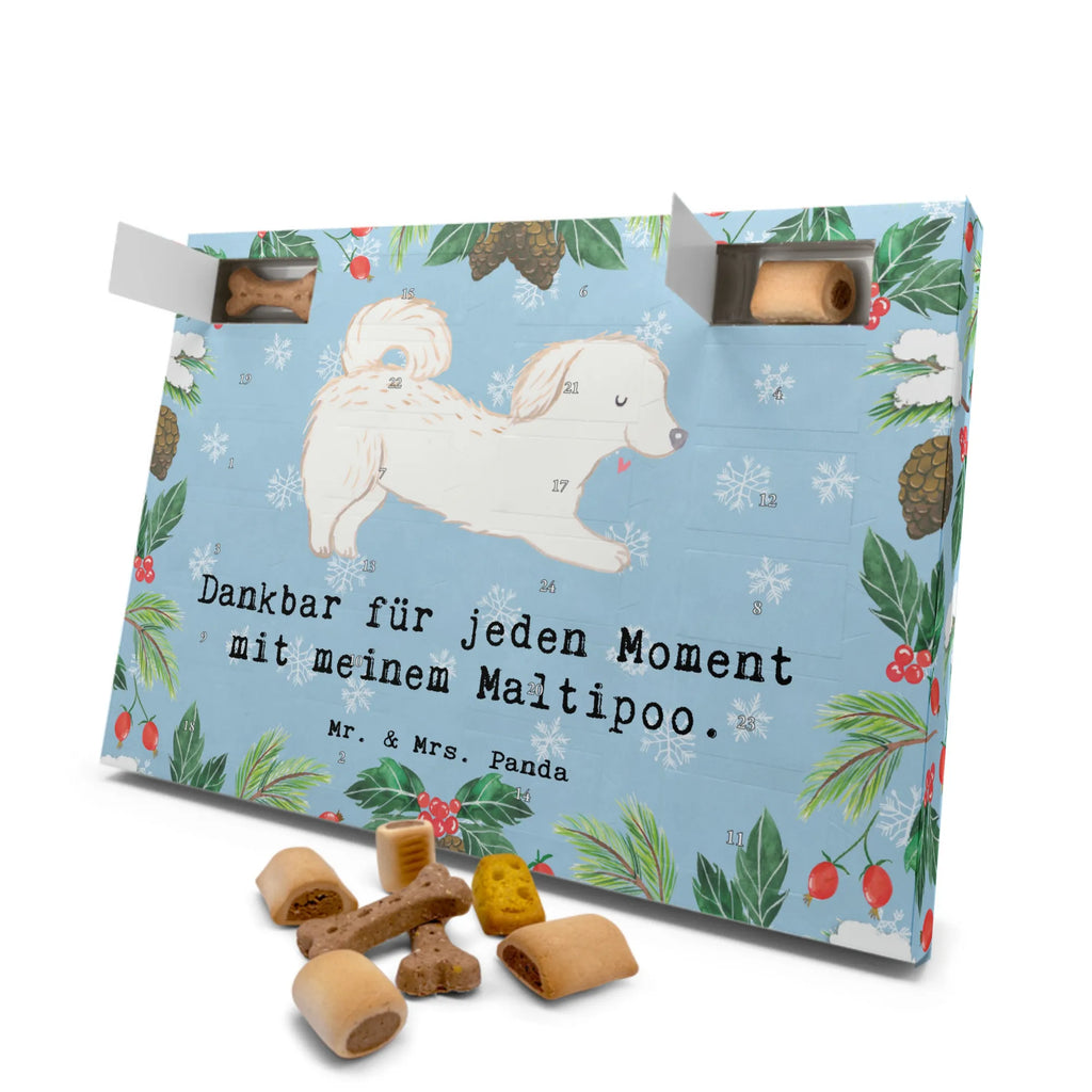Hunde Adventskalender Maltipoo Moment Weihnachtskalender, Kalender, Adventskalender für Hunde, Hunde Adventskalender, Geschenk, Schenken, Hund, Hunderasse, Rassehund, Hundebesitzer, Tierfreund, Welpe, Kreuzung, Mischling, Maltipoo