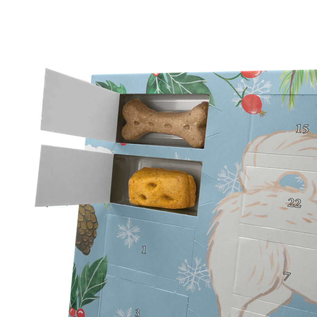 Hunde Adventskalender Maltipoo Moment Weihnachtskalender, Kalender, Adventskalender für Hunde, Hunde Adventskalender, Geschenk, Schenken, Hund, Hunderasse, Rassehund, Hundebesitzer, Tierfreund, Welpe, Kreuzung, Mischling, Maltipoo
