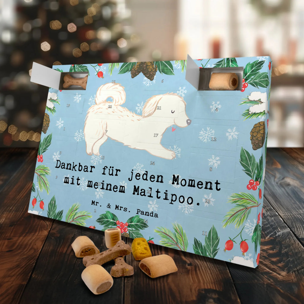Hunde Adventskalender Maltipoo Moment Weihnachtskalender, Kalender, Adventskalender für Hunde, Hunde Adventskalender, Geschenk, Schenken, Hund, Hunderasse, Rassehund, Hundebesitzer, Tierfreund, Welpe, Kreuzung, Mischling, Maltipoo