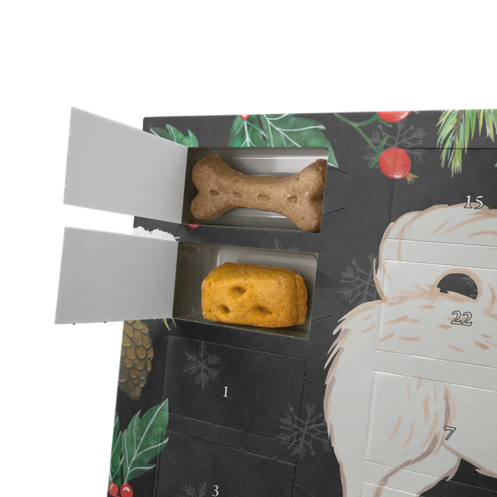 Hunde Adventskalender Maltipoo Moment Weihnachtskalender, Kalender, Adventskalender für Hunde, Hunde Adventskalender, Geschenk, Schenken, Hund, Hunderasse, Rassehund, Hundebesitzer, Tierfreund, Welpe, Kreuzung, Mischling, Maltipoo