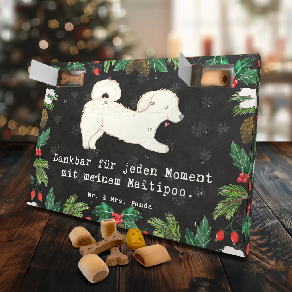 Hunde Adventskalender Maltipoo Moment Weihnachtskalender, Kalender, Adventskalender für Hunde, Hunde Adventskalender, Geschenk, Schenken, Hund, Hunderasse, Rassehund, Hundebesitzer, Tierfreund, Welpe, Kreuzung, Mischling, Maltipoo