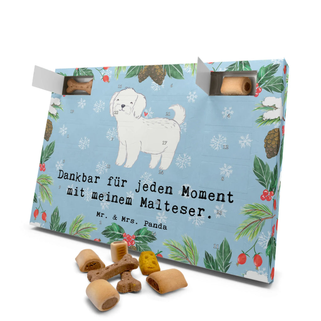 Hunde Adventskalender Malteser Moment Kalender, Adventskalender für Hunde, Hunde Adventskalender, Weihnachtskalender, Geschenk, Schenken, Hund, Hunderasse, Rassehund, Hundebesitzer, Tierfreund, Welpe, Malteser
