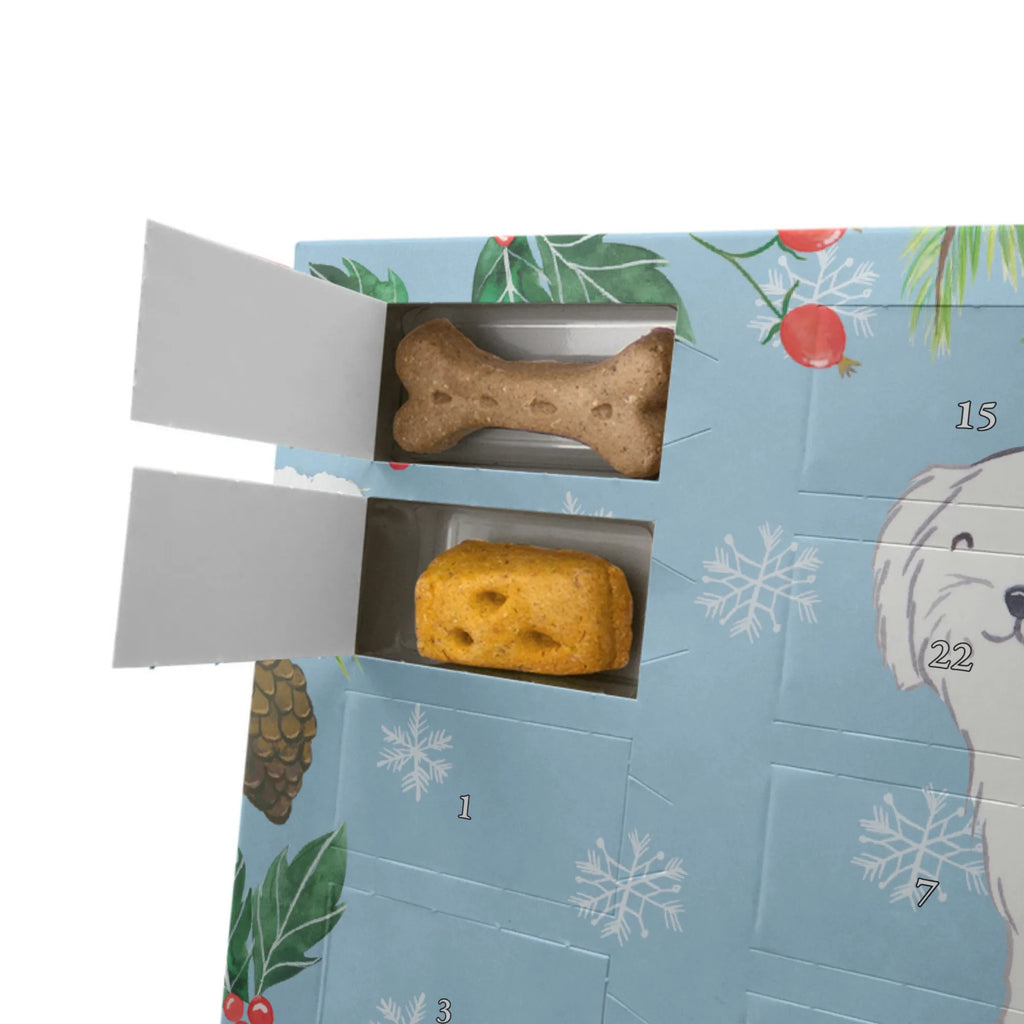 Hunde Adventskalender Malteser Moment Kalender, Adventskalender für Hunde, Hunde Adventskalender, Weihnachtskalender, Geschenk, Schenken, Hund, Hunderasse, Rassehund, Hundebesitzer, Tierfreund, Welpe, Malteser