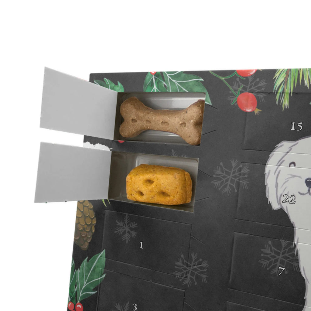 Hunde Adventskalender Malteser Moment Kalender, Adventskalender für Hunde, Hunde Adventskalender, Weihnachtskalender, Geschenk, Schenken, Hund, Hunderasse, Rassehund, Hundebesitzer, Tierfreund, Welpe, Malteser
