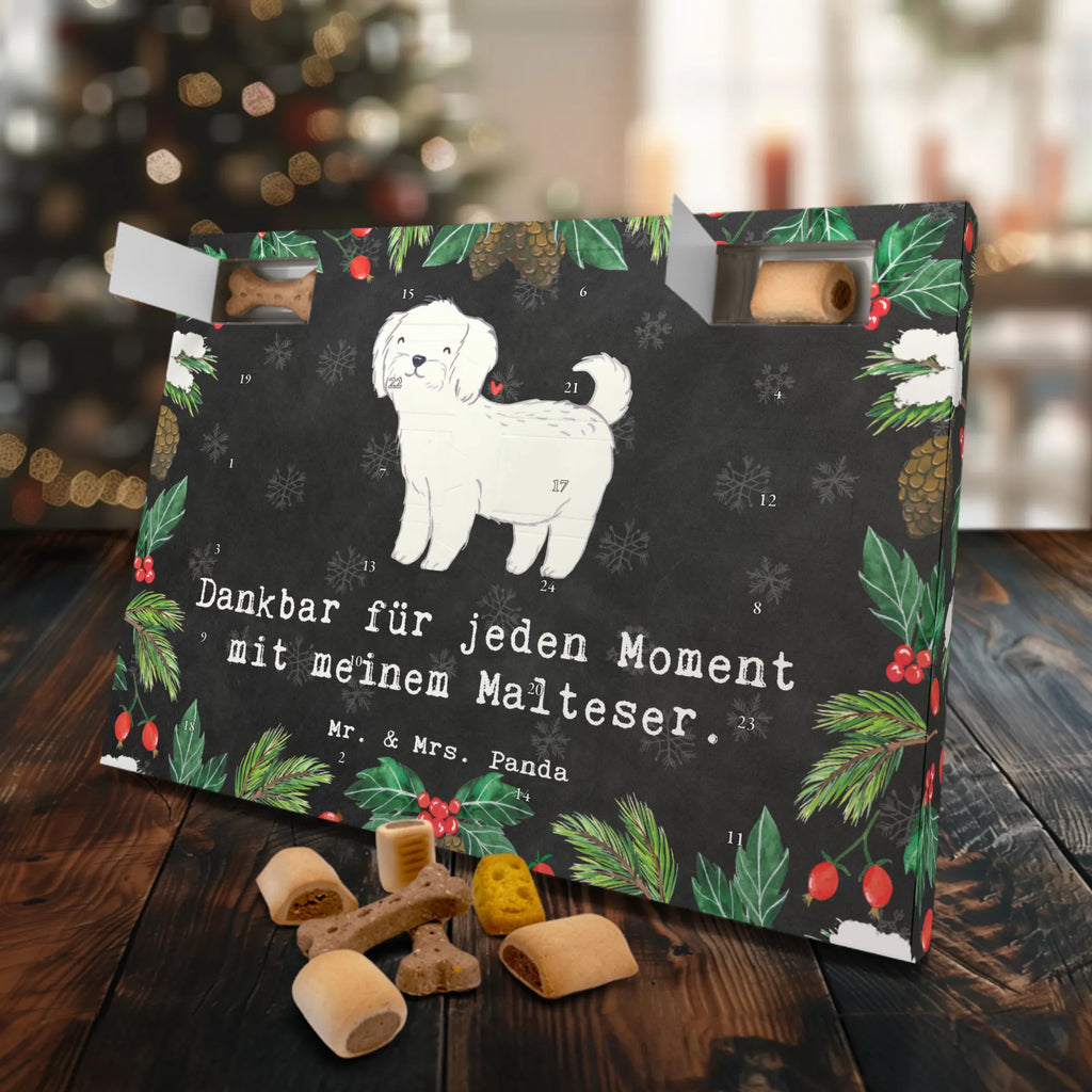 Hunde Adventskalender Malteser Moment Kalender, Adventskalender für Hunde, Hunde Adventskalender, Weihnachtskalender, Geschenk, Schenken, Hund, Hunderasse, Rassehund, Hundebesitzer, Tierfreund, Welpe, Malteser