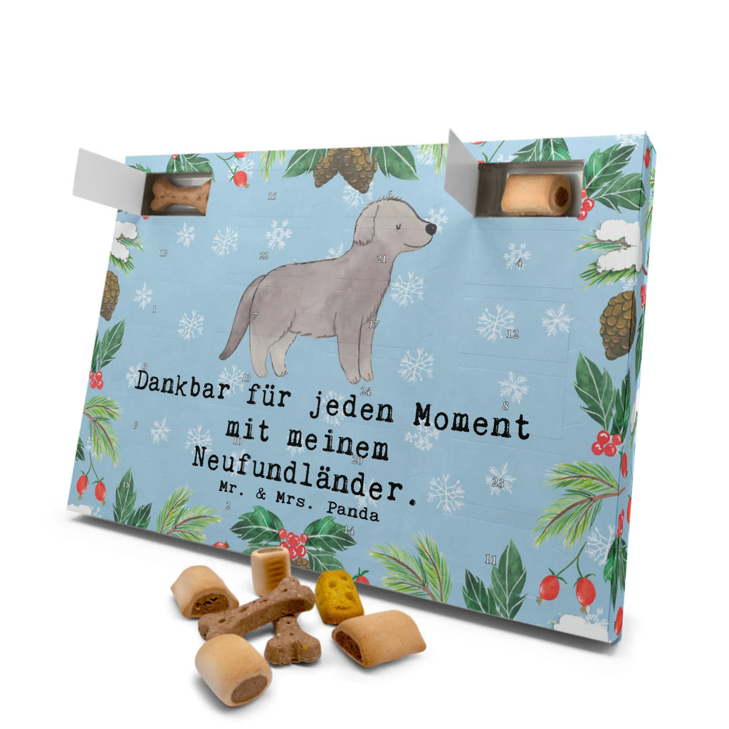 Hunde Adventskalender Neufundländer Moment Hunde Adventskalender, Adventskalender für Hunde, Kalender, Weihnachtskalender, Geschenk, Schenken, Hund, Hunderasse, Rassehund, Hundebesitzer, Tierfreund, Welpe, Neufundländer, Newfoundland