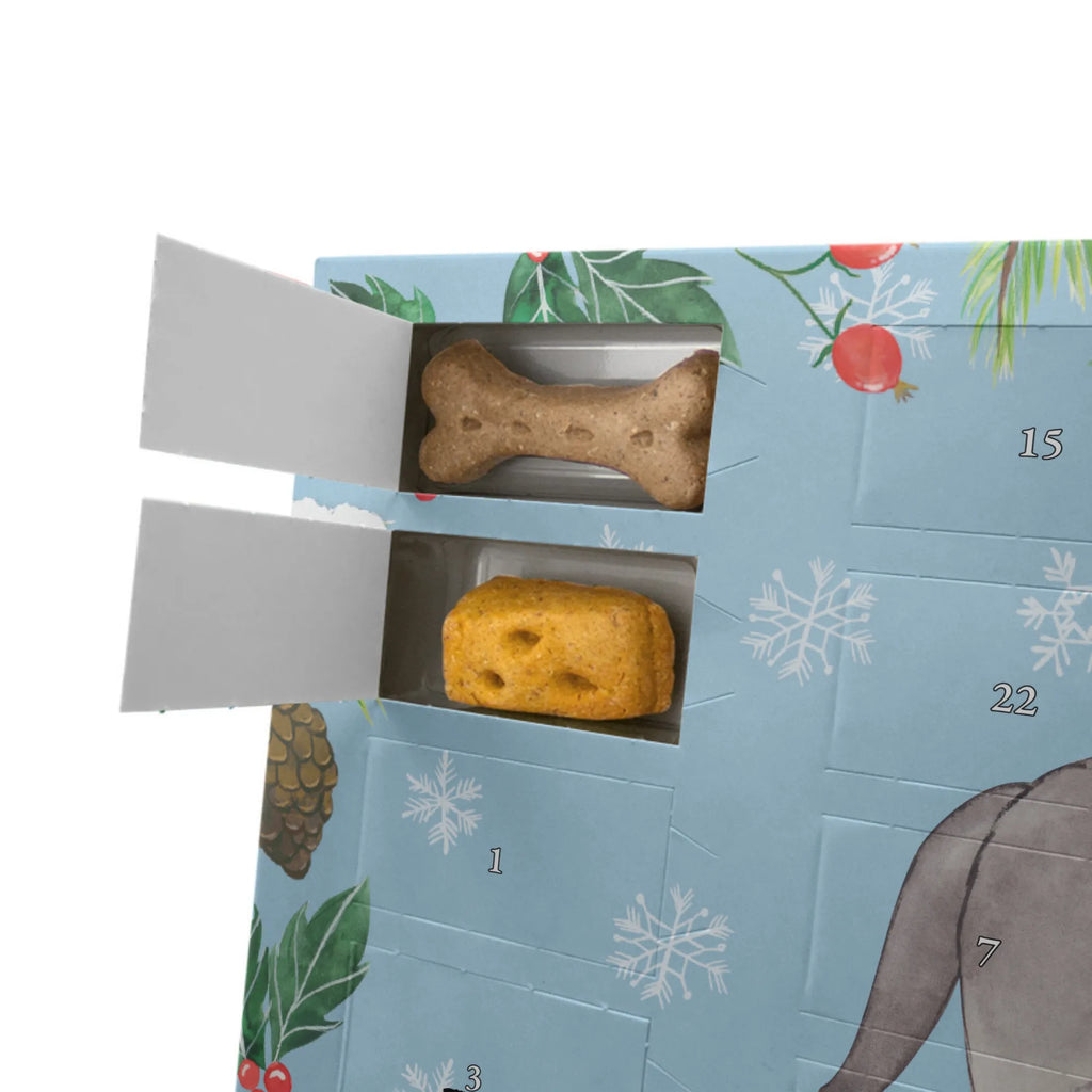 Hunde Adventskalender Neufundländer Moment Hunde Adventskalender, Adventskalender für Hunde, Kalender, Weihnachtskalender, Geschenk, Schenken, Hund, Hunderasse, Rassehund, Hundebesitzer, Tierfreund, Welpe, Neufundländer, Newfoundland