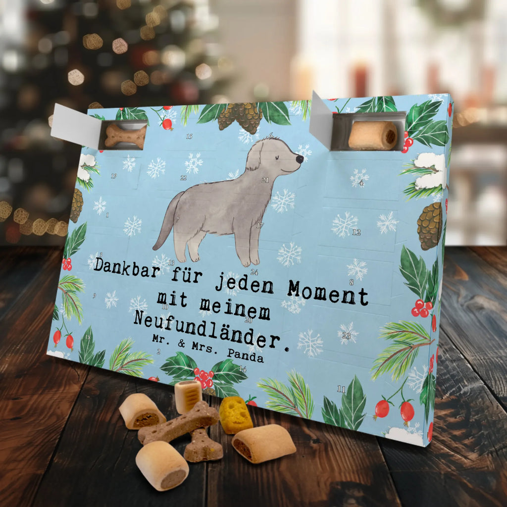 Hunde Adventskalender Neufundländer Moment Hunde Adventskalender, Adventskalender für Hunde, Kalender, Weihnachtskalender, Geschenk, Schenken, Hund, Hunderasse, Rassehund, Hundebesitzer, Tierfreund, Welpe, Neufundländer, Newfoundland
