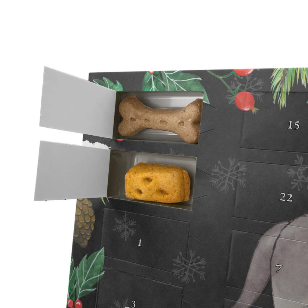 Hunde Adventskalender Neufundländer Moment Hunde Adventskalender, Adventskalender für Hunde, Kalender, Weihnachtskalender, Geschenk, Schenken, Hund, Hunderasse, Rassehund, Hundebesitzer, Tierfreund, Welpe, Neufundländer, Newfoundland