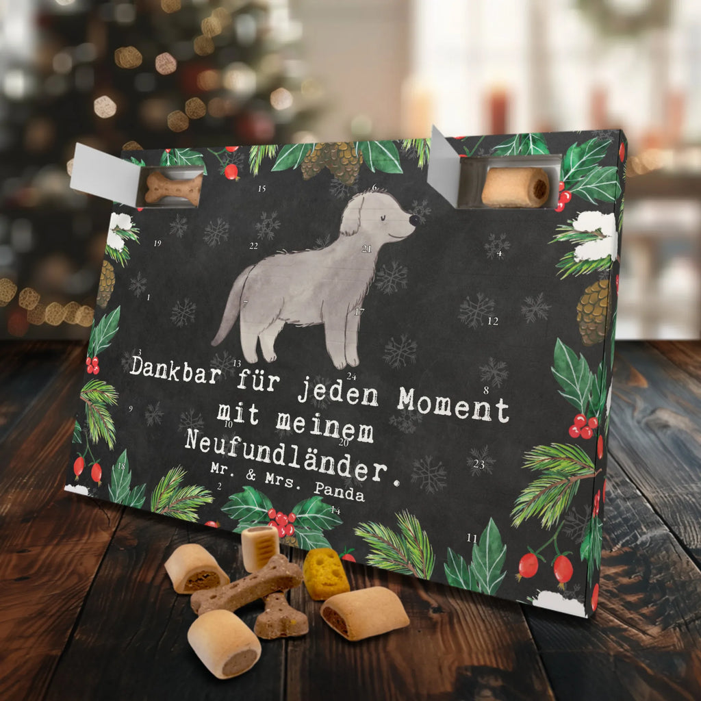 Hunde Adventskalender Neufundländer Moment Hunde Adventskalender, Adventskalender für Hunde, Kalender, Weihnachtskalender, Geschenk, Schenken, Hund, Hunderasse, Rassehund, Hundebesitzer, Tierfreund, Welpe, Neufundländer, Newfoundland