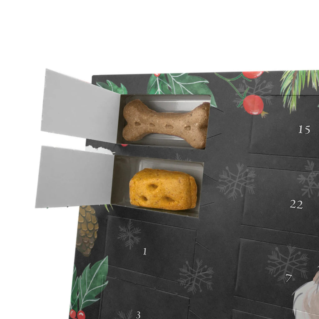  Papillon Chwila Adventskalender für Hunde, Weihnachtskalender, Hunde Adventskalender, Kalender, Geschenk, Schenken, Hund, Hunderasse, Rassehund, Hundebesitzer, Tierfreund, Welpe, Papillon, Kontinentaler Zwergspaniel