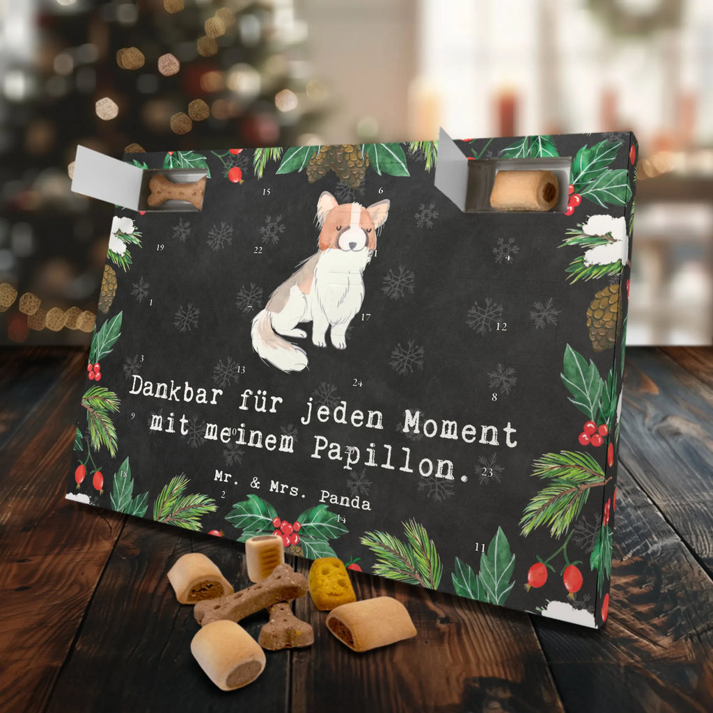  Papillon Chwila Adventskalender für Hunde, Weihnachtskalender, Hunde Adventskalender, Kalender, Geschenk, Schenken, Hund, Hunderasse, Rassehund, Hundebesitzer, Tierfreund, Welpe, Papillon, Kontinentaler Zwergspaniel