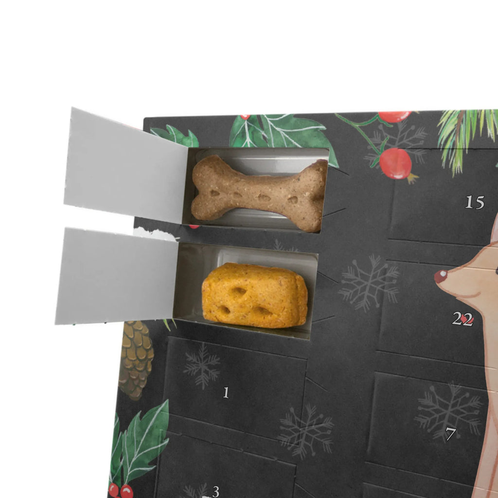 Hunde Adventskalender Pharaonenhund Moment Kalender, Adventskalender für Hunde, Weihnachtskalender, Hunde Adventskalender, Geschenk, Schenken, Hund, Hunderasse, Rassehund, Hundebesitzer, Tierfreund, Welpe, Pharaoh Hound, Kelb Tal-Fenek, Pharaonenhund