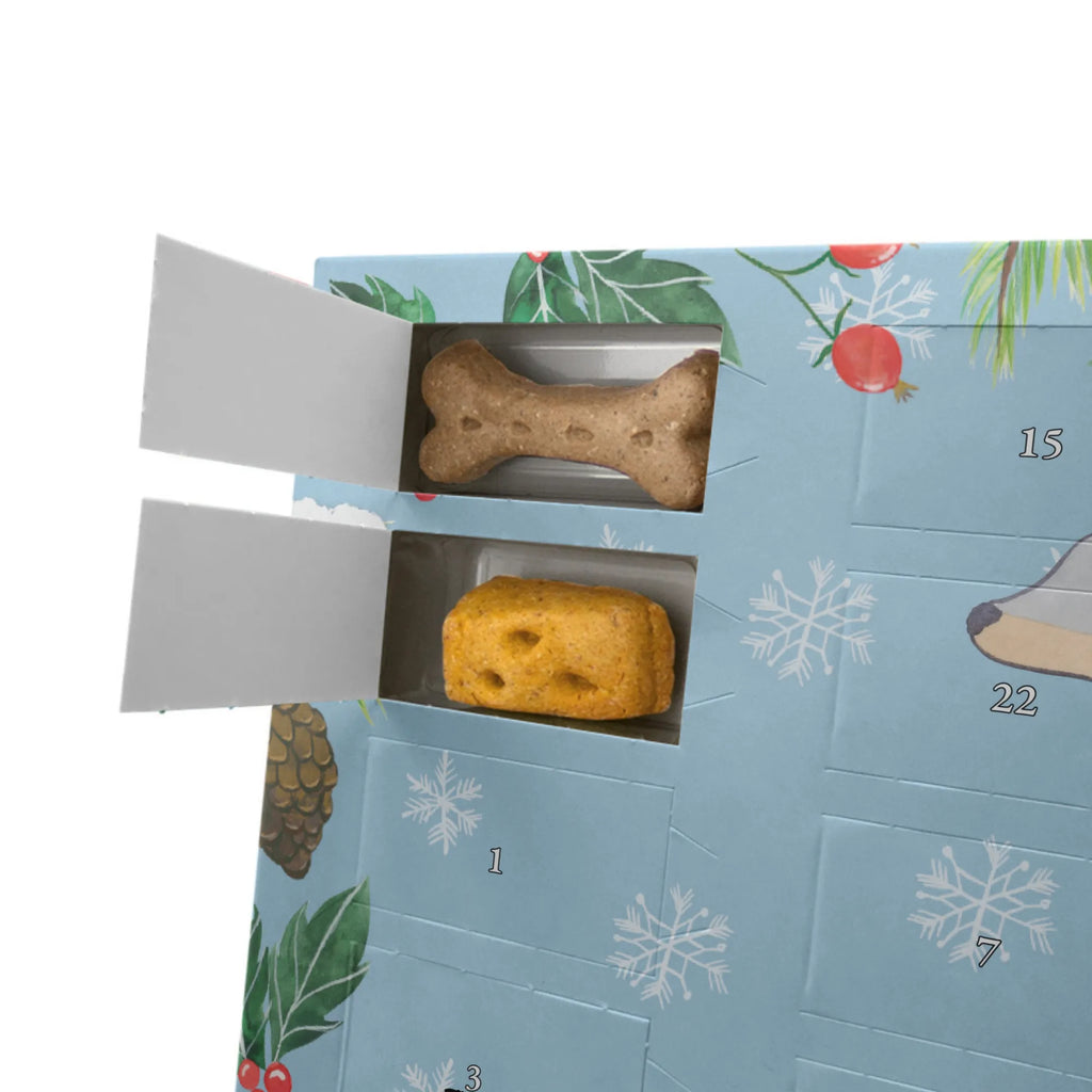 Hunde Adventskalender Dobermann Pinscher Moment Hunde Adventskalender, Weihnachtskalender, Adventskalender für Hunde, Kalender, Geschenk, Schenken, Hund, Hunderasse, Rassehund, Hundebesitzer, Tierfreund, Welpe, Dobermann Pinscher