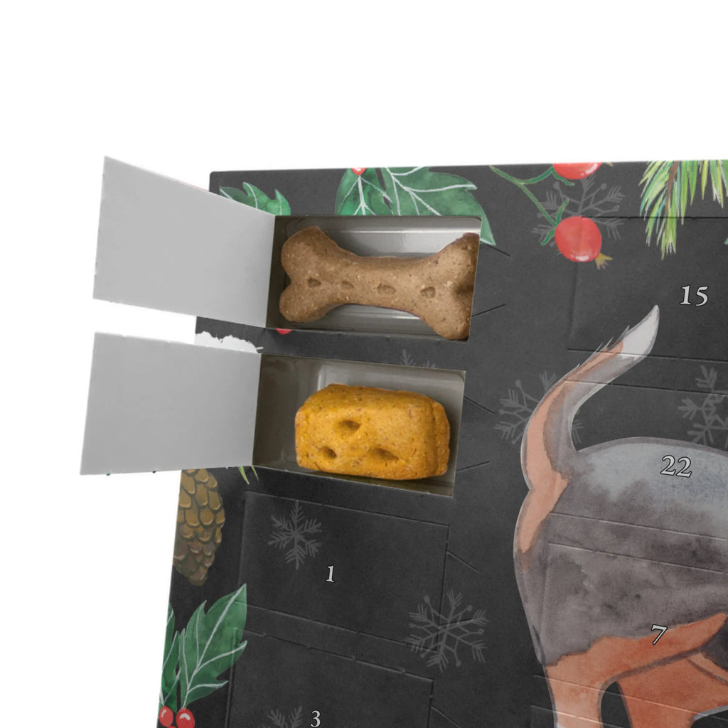 Hunde Adventskalender Basset Hound Moment Kalender, Hunde Adventskalender, Adventskalender für Hunde, Weihnachtskalender, Geschenk, Schenken, Hund, Hunderasse, Rassehund, Hundebesitzer, Tierfreund, Welpe, Basset, Basset Hound