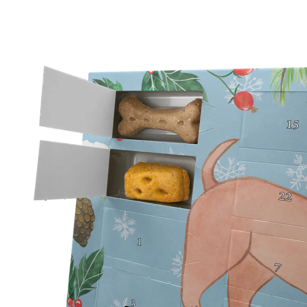 Hunde Adventskalender Dackel Kurzhaardackel Moment Weihnachtskalender, Kalender, Adventskalender für Hunde, Hunde Adventskalender, Geschenk, Schenken, Hund, Hunderasse, Rassehund, Hundebesitzer, Tierfreund, Welpe, Kurzhaardackel, Teckel, Dachshund