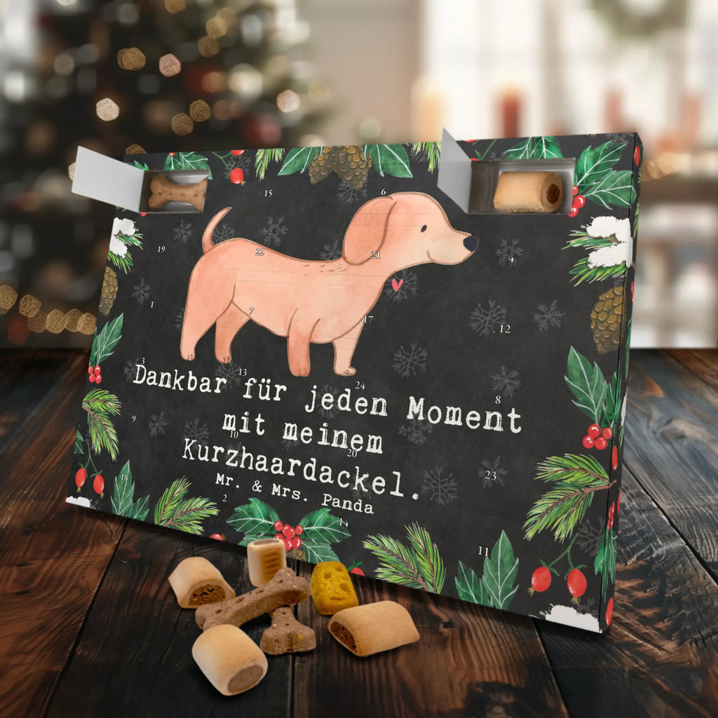 Hunde Adventskalender Dackel Kurzhaardackel Moment Weihnachtskalender, Kalender, Adventskalender für Hunde, Hunde Adventskalender, Geschenk, Schenken, Hund, Hunderasse, Rassehund, Hundebesitzer, Tierfreund, Welpe, Kurzhaardackel, Teckel, Dachshund