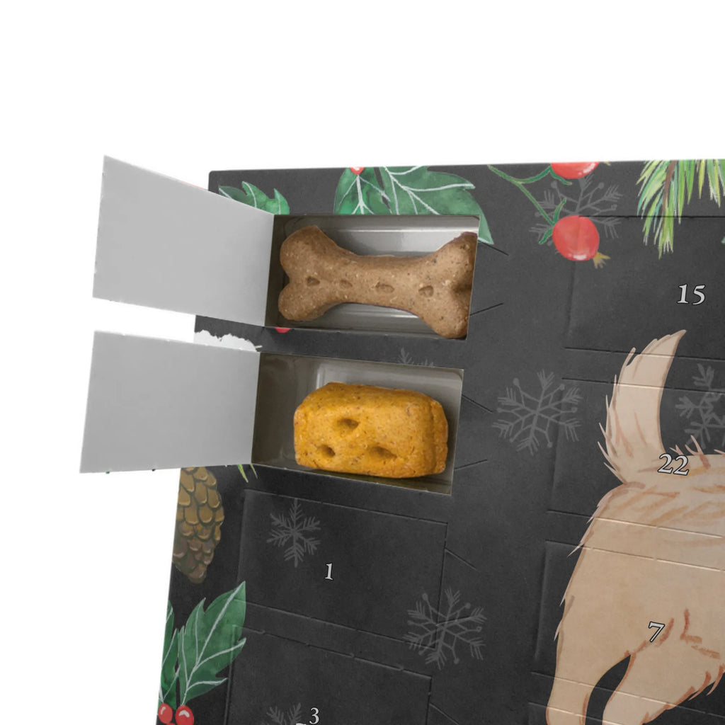  terrier cairnski Chwila Weihnachtskalender, Kalender, Adventskalender für Hunde, Hunde Adventskalender, Geschenk, Schenken, Hund, Hunderasse, Rassehund, Hundebesitzer, Tierfreund, Welpe, Cairn Terrier