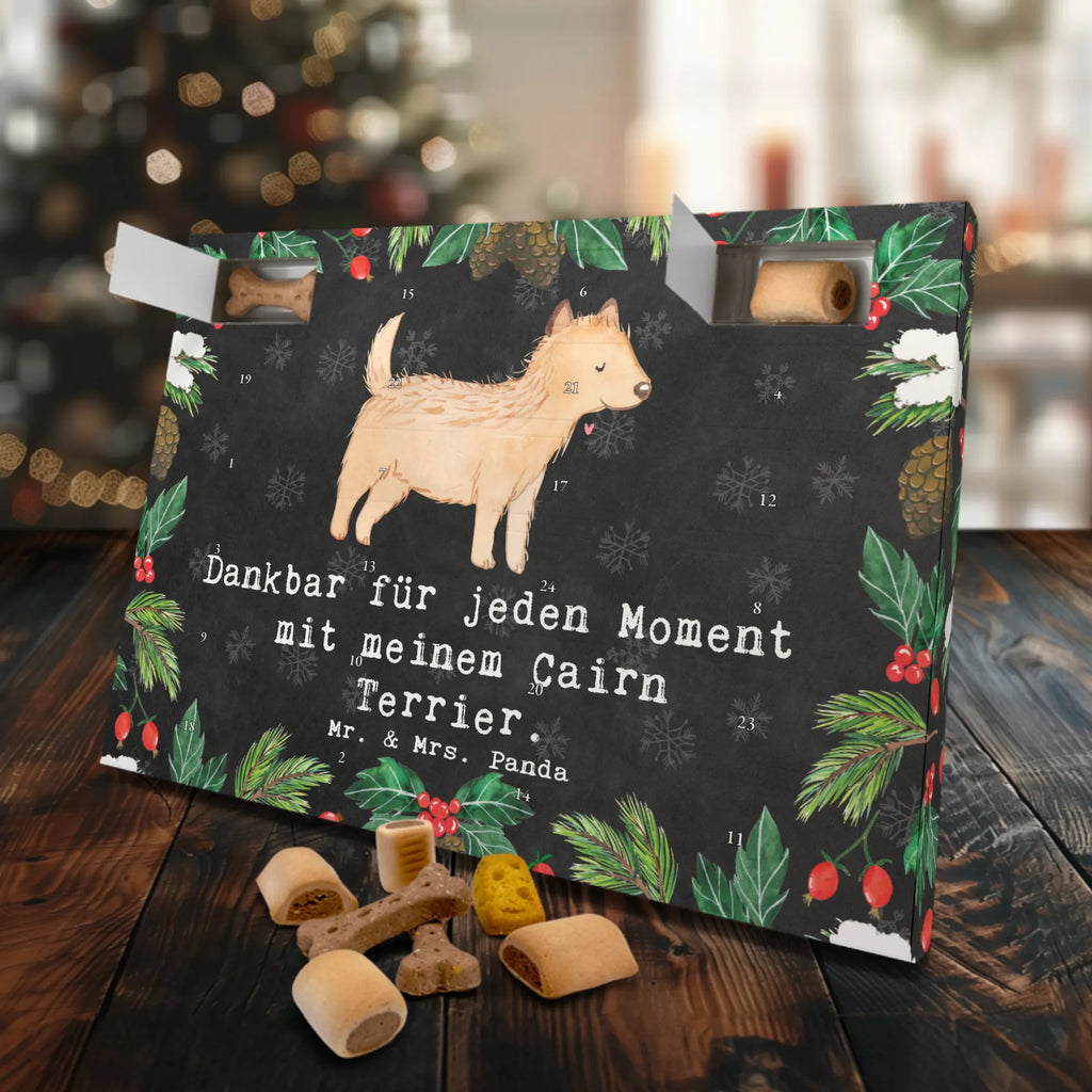  terrier cairnski Chwila Weihnachtskalender, Kalender, Adventskalender für Hunde, Hunde Adventskalender, Geschenk, Schenken, Hund, Hunderasse, Rassehund, Hundebesitzer, Tierfreund, Welpe, Cairn Terrier