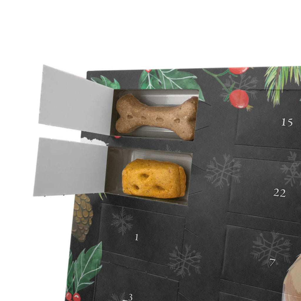  długowłosy collie Chwila Kalender, Adventskalender für Hunde, Hunde Adventskalender, Weihnachtskalender, Geschenk, Schenken, Hund, Hunderasse, Rassehund, Hundebesitzer, Tierfreund, Welpe, Langhaar Collie, Britischer Hütehund