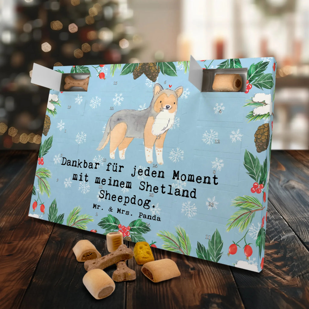 Hunde Adventskalender Shetland Sheepdog Moment Weihnachtskalender, Kalender, Hunde Adventskalender, Adventskalender für Hunde, Geschenk, Schenken, Hund, Hunderasse, Rassehund, Hundebesitzer, Tierfreund, Welpe, Shetland Sheepdog, Sheltie