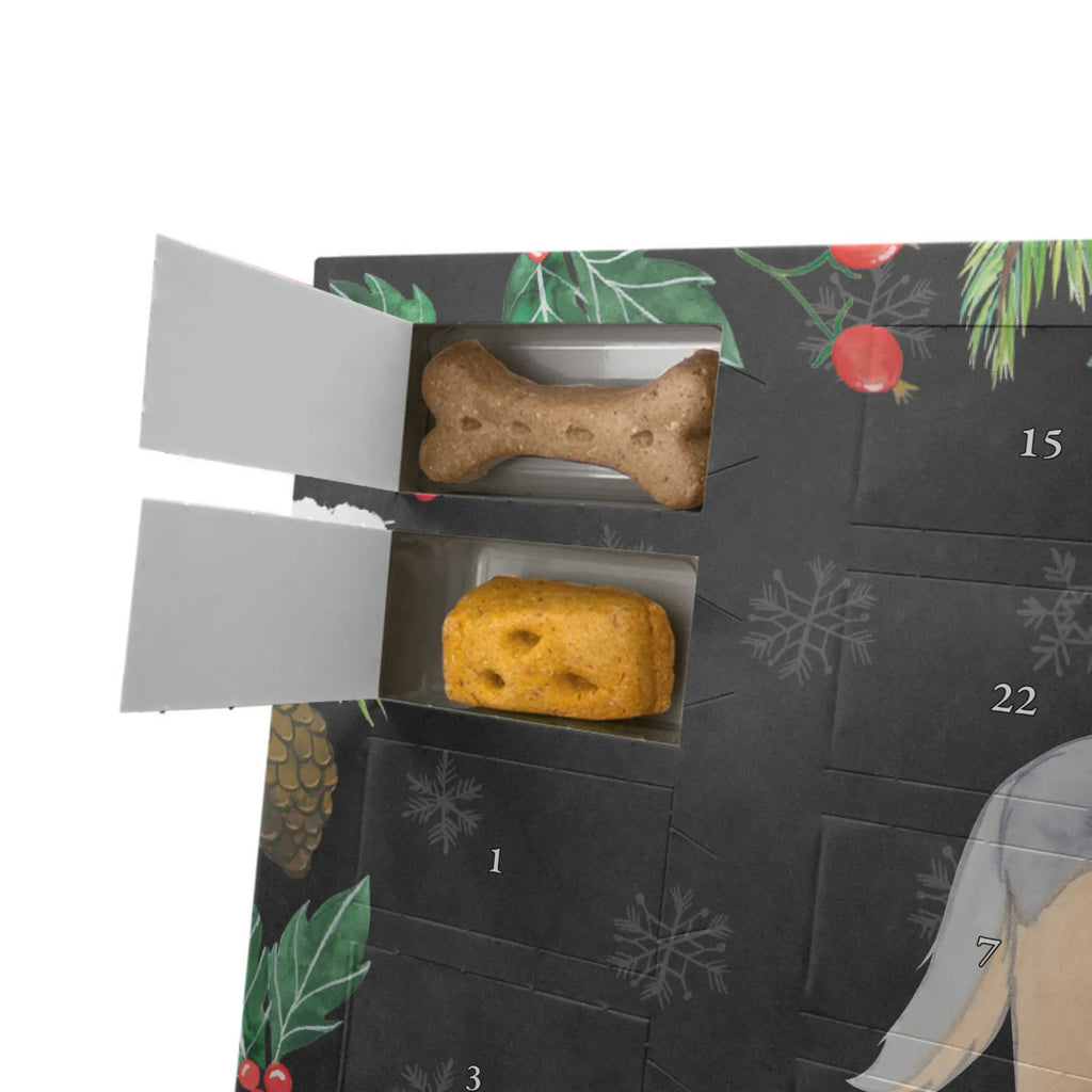 Hunde Adventskalender Shetland Sheepdog Moment Weihnachtskalender, Kalender, Hunde Adventskalender, Adventskalender für Hunde, Geschenk, Schenken, Hund, Hunderasse, Rassehund, Hundebesitzer, Tierfreund, Welpe, Shetland Sheepdog, Sheltie