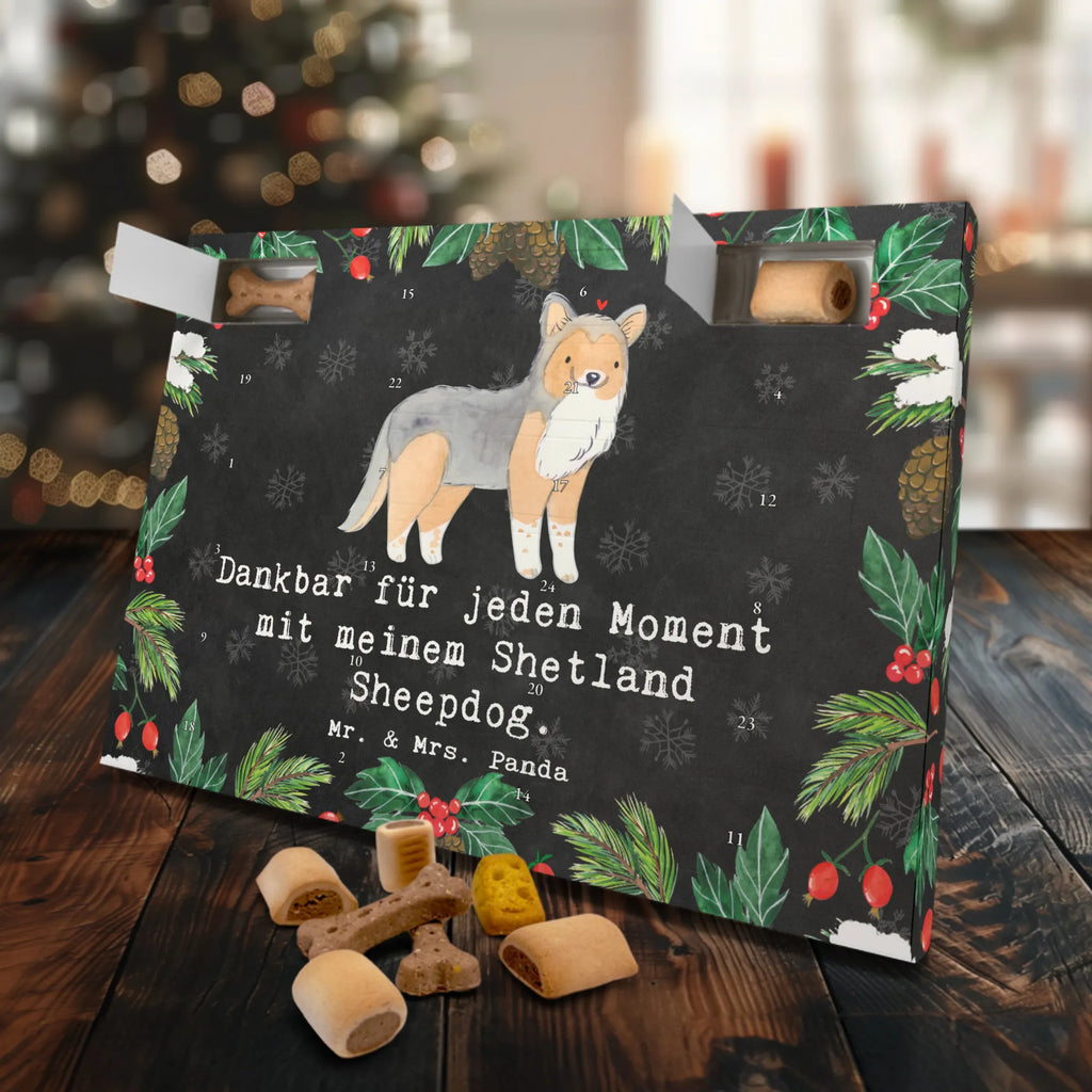 Hunde Adventskalender Shetland Sheepdog Moment Weihnachtskalender, Kalender, Hunde Adventskalender, Adventskalender für Hunde, Geschenk, Schenken, Hund, Hunderasse, Rassehund, Hundebesitzer, Tierfreund, Welpe, Shetland Sheepdog, Sheltie