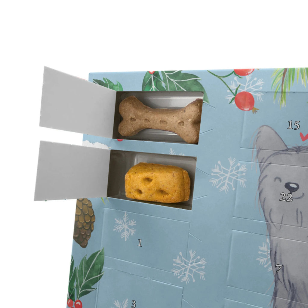 Hunde Adventskalender Skye Terrier Moment Adventskalender für Hunde, Kalender, Weihnachtskalender, Hunde Adventskalender, Geschenk, Schenken, Hund, Hunderasse, Rassehund, Hundebesitzer, Tierfreund, Welpe, Skye Terrier, Terrier
