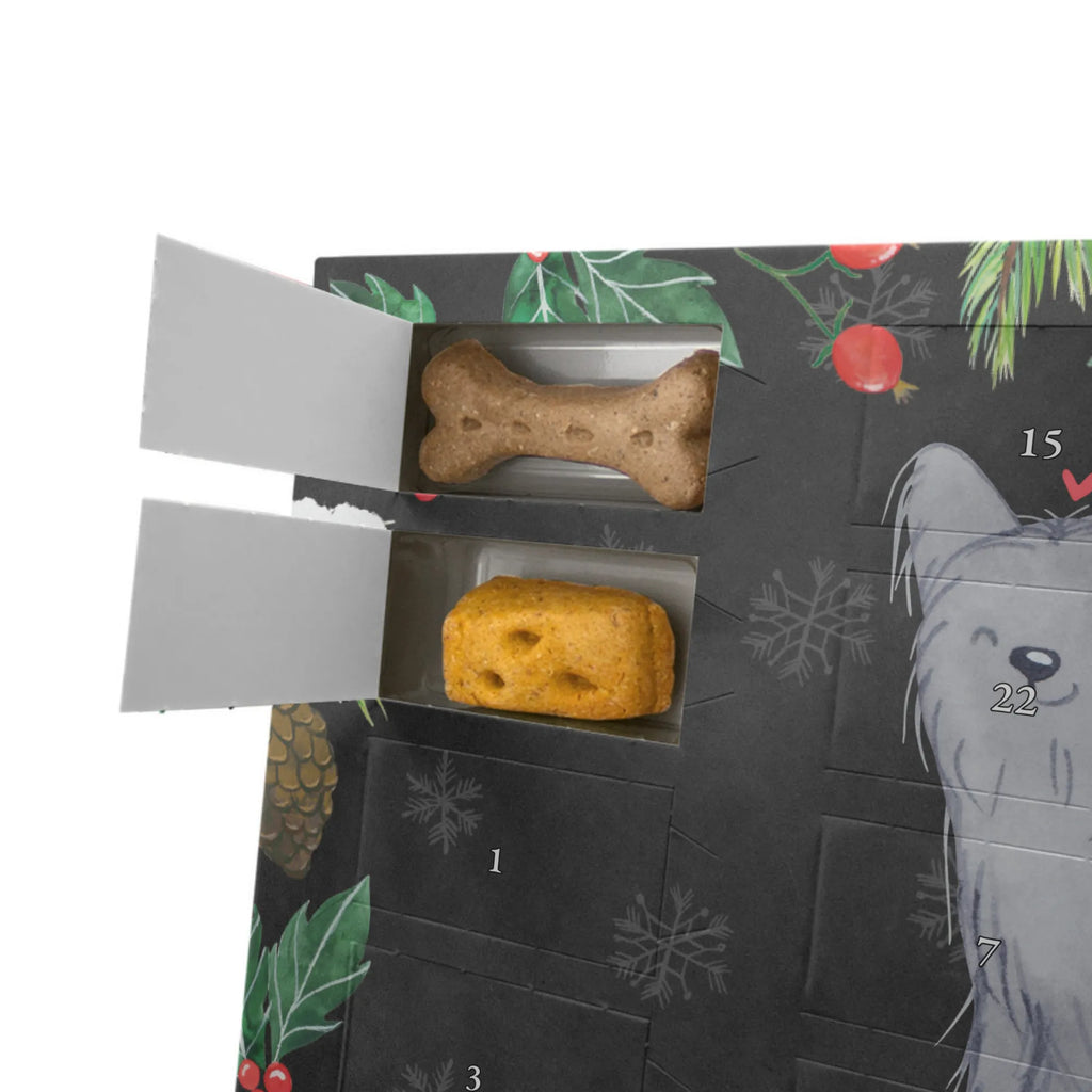 Hunde Adventskalender Skye Terrier Moment Adventskalender für Hunde, Kalender, Weihnachtskalender, Hunde Adventskalender, Geschenk, Schenken, Hund, Hunderasse, Rassehund, Hundebesitzer, Tierfreund, Welpe, Skye Terrier, Terrier