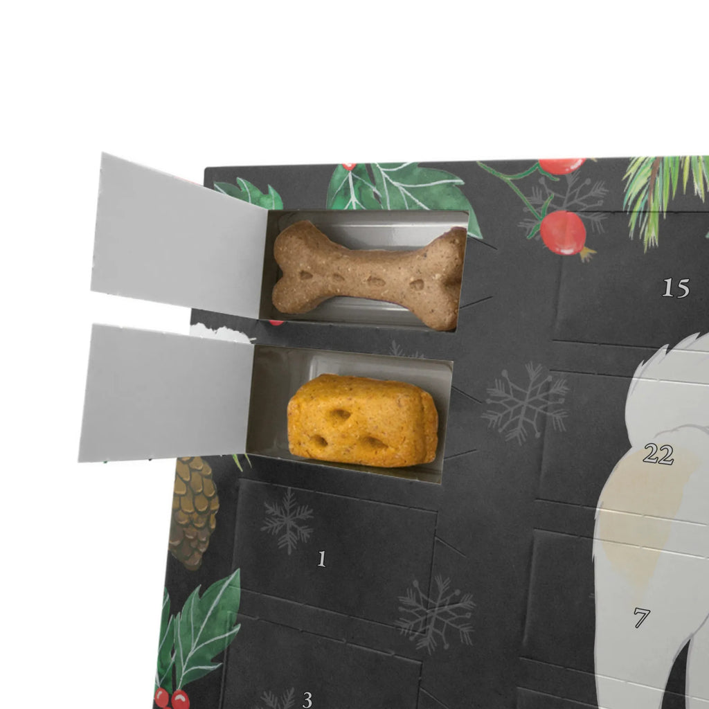 Hunde Adventskalender Thai Bangkaew Moment Adventskalender für Hunde, Weihnachtskalender, Hunde Adventskalender, Kalender, Geschenk, Schenken, Hund, Hunderasse, Rassehund, Hundebesitzer, Tierfreund, Welpe, Thai Bangkaew Dog