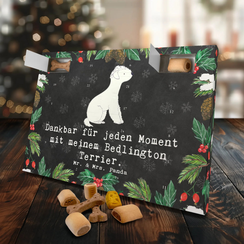  Bedlington Terrier Chwila Hunde Adventskalender, Weihnachtskalender, Adventskalender für Hunde, Kalender, Geschenk, Schenken, Hund, Hunderasse, Rassehund, Hundebesitzer, Tierfreund, Welpe, Bedlington Terrier, Terrier