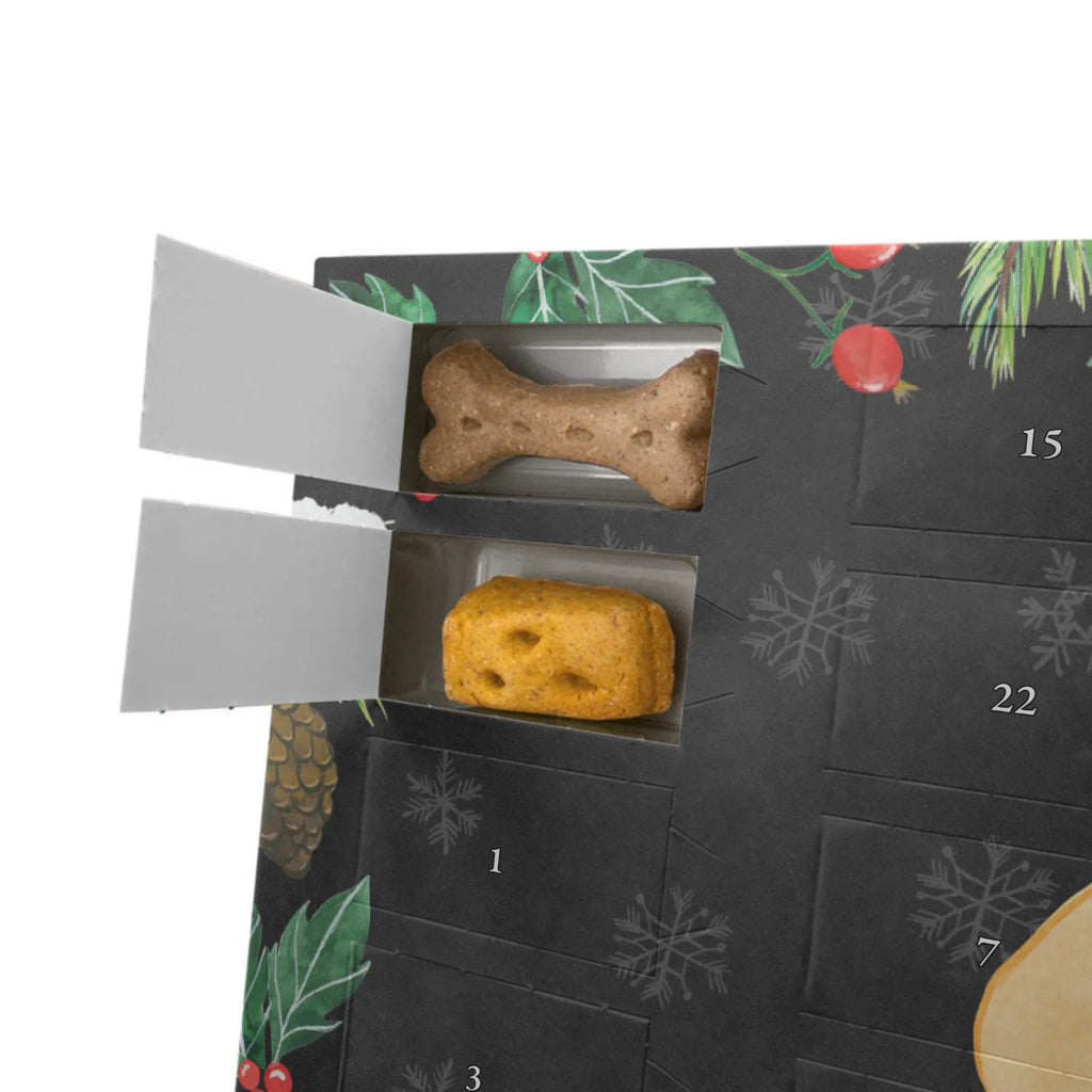  Corgi Pies, właściciel psa, rasa psa, miłośnik zwierząt, zwierzę domowe, motyw psa, powiedzenia