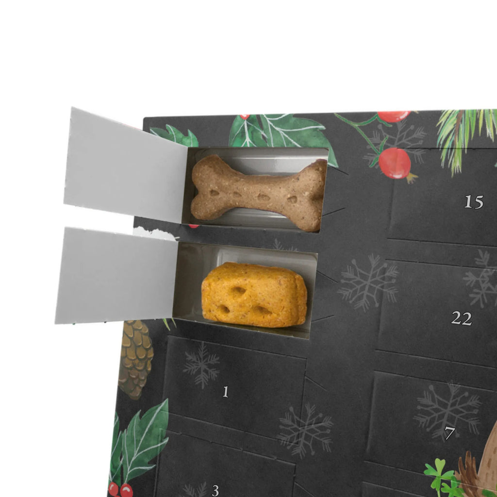Hunde Adventskalender Hund Kleeblatt Hunde Adventskalender, Kalender, Weihnachtskalender, Adventskalender für Hunde, Hunderasse, Tierliebhaber, Hundemotiv, Haustier, Hundebesitzer, Hund, Sprüche, Tagträume, Selbstliebe, Glück, Neuanfang, Kleeblatt, Motivation, Geschenk, Achtsamkeit, Glücksbringer