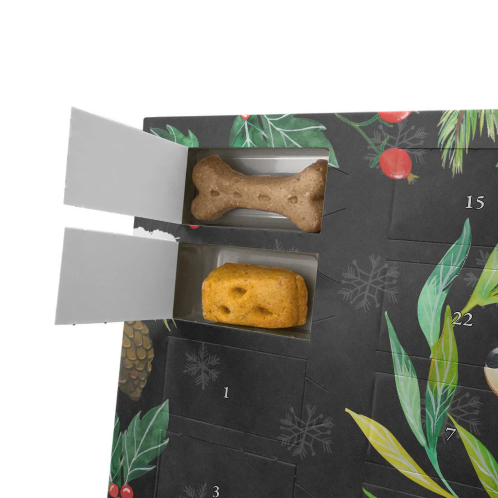 Hunde Adventskalender Hund Blumen Kalender, Hunde Adventskalender, Adventskalender für Hunde, Weihnachtskalender, Hunderasse, Hundebesitzer, Sprüche, Tierliebhaber, Hundemotiv, Haustier, Hund, Selbsttherapie, Hundeliebe, Ranke, Therapie, Hunde, Hundeglück