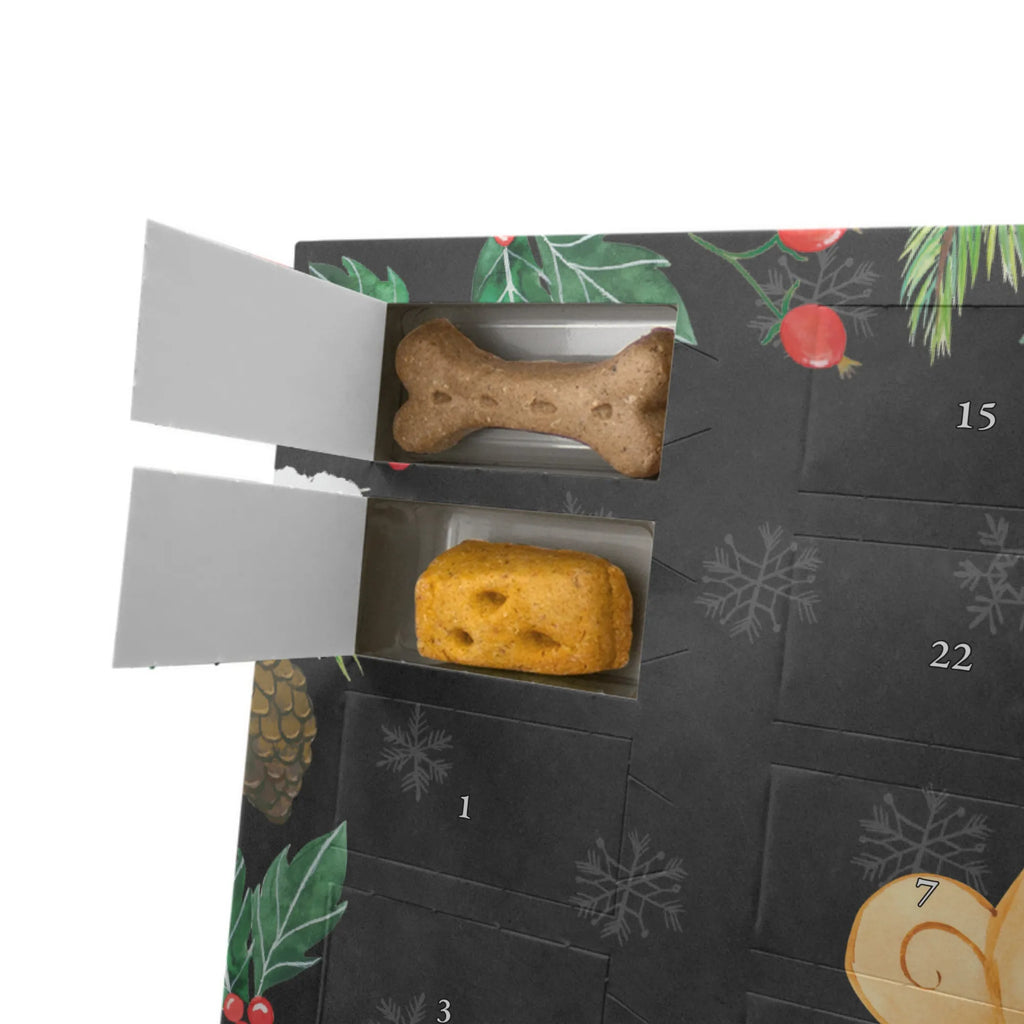 Dog advent calendar Pug Pets, Dogs Advent Calendar, dog breed, hound, bag with dog print, mutt, what do you give a dog lover, dog mama, Christmas gifts for dogs, dog decorative items, funny gifts for dog owners, dog sayings, love dogs, woof, love for dogs, gifts for dogs, dog love, Pug