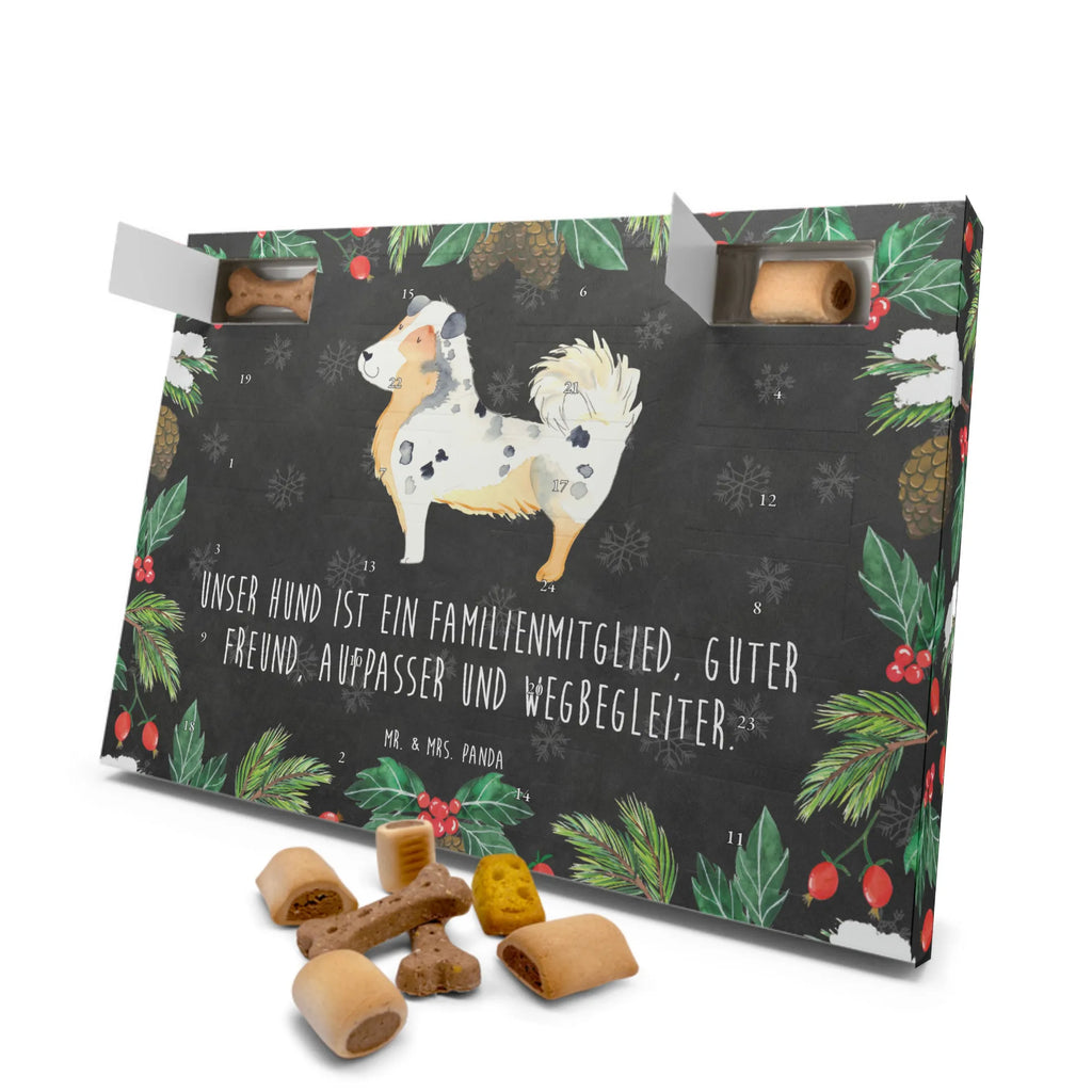 Hunde Adventskalender Hund Australien Shepherd Adventskalender für Hunde, Kalender, Weihnachtskalender, Hunde Adventskalender, Hunderasse, Tierliebhaber, Hundemotiv, Haustier, Hundebesitzer, Hund, Sprüche, Australien Shepherd, Familienhund, Hundeliebe, Shepherd, Spruch