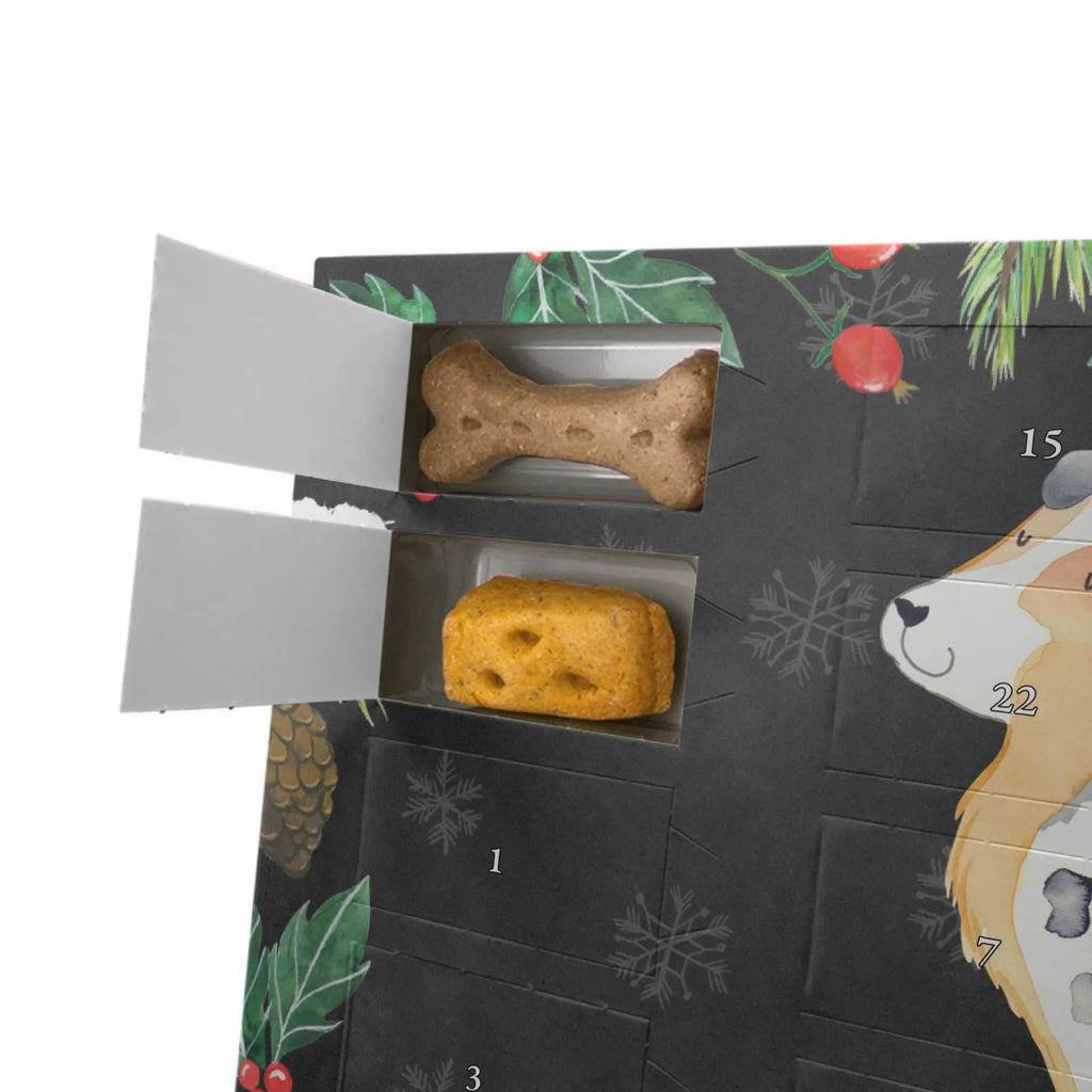 Hunde Adventskalender Hund Australien Shepherd Adventskalender für Hunde, Kalender, Weihnachtskalender, Hunde Adventskalender, Hunderasse, Tierliebhaber, Hundemotiv, Haustier, Hundebesitzer, Hund, Sprüche, Australien Shepherd, Familienhund, Hundeliebe, Shepherd, Spruch