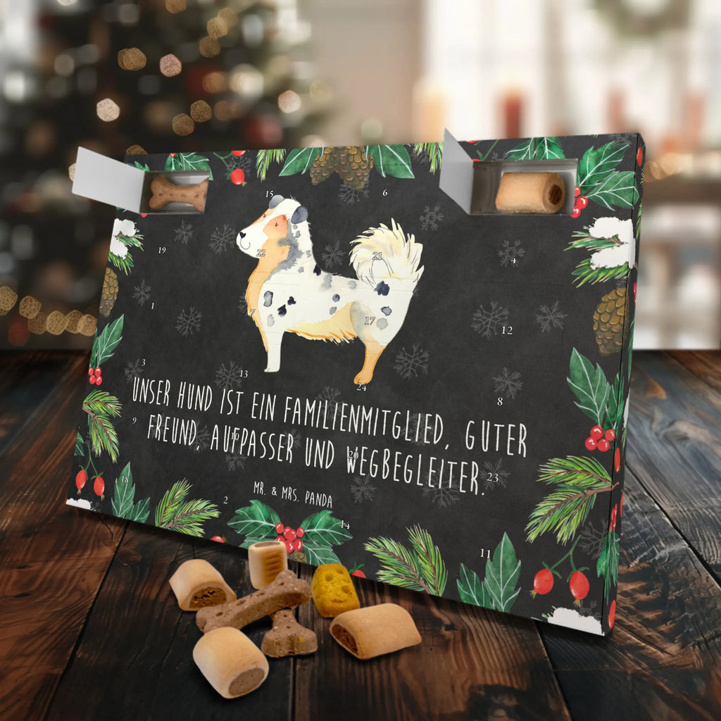 Hunde Adventskalender Hund Australien Shepherd Adventskalender für Hunde, Kalender, Weihnachtskalender, Hunde Adventskalender, Hunderasse, Tierliebhaber, Hundemotiv, Haustier, Hundebesitzer, Hund, Sprüche, Australien Shepherd, Familienhund, Hundeliebe, Shepherd, Spruch