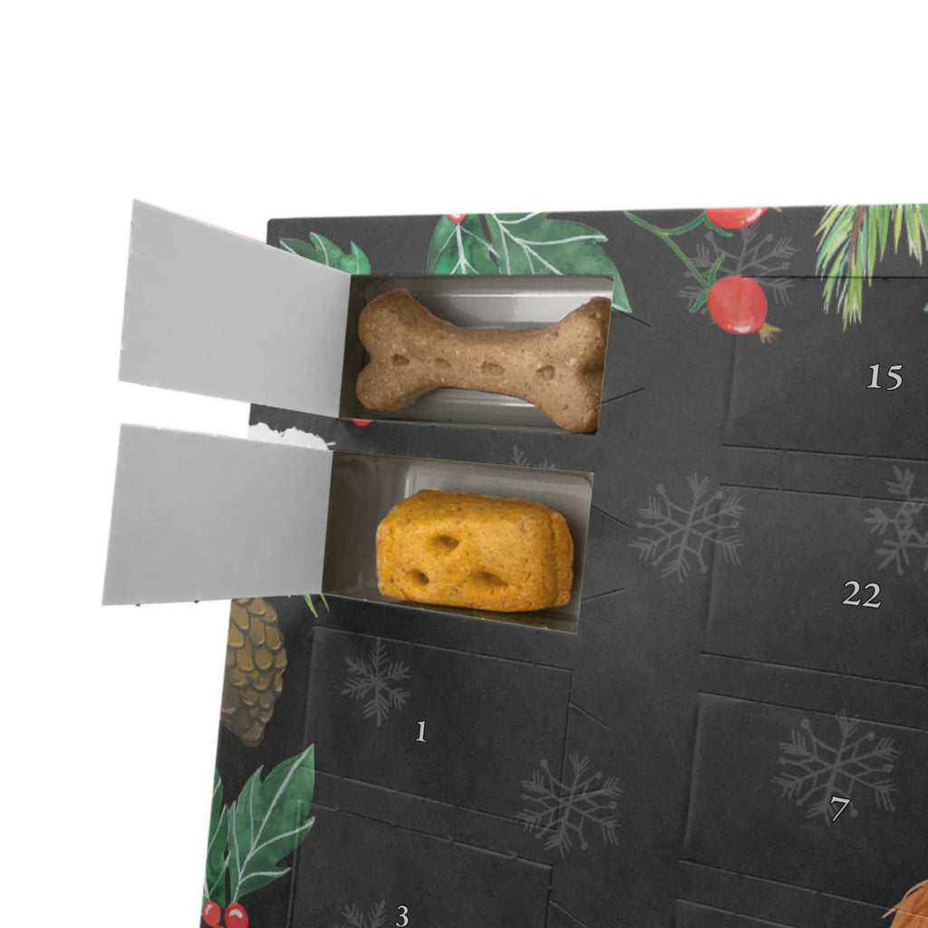  pies Cavalier King Charles Spaniel Pies, właściciel psa, rasa psa, miłośnik zwierząt, zwierzę domowe, motyw psa, powiedzenia