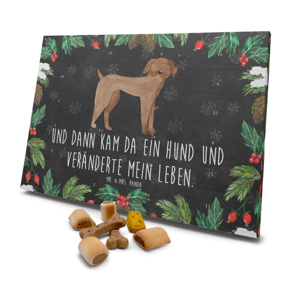 Hunde Adventskalender Hund Dogge Kalender, Hunde Adventskalender, Adventskalender für Hunde, Weihnachtskalender, Hunderasse, Hundebesitzer, Sprüche, Tierliebhaber, Hundemotiv, Haustier, Hund, Great Dane, Dogge, Deutsche Dogge, Hunde
